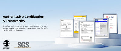 SGS and Intertek certification